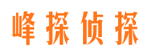 平利市调查取证